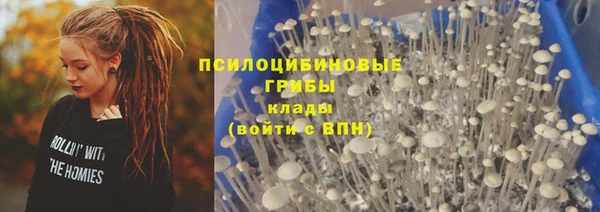 прущий лед Алзамай